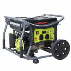 Groupe Electrogène WX6200 AVR